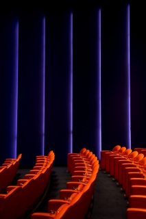 zz (1)